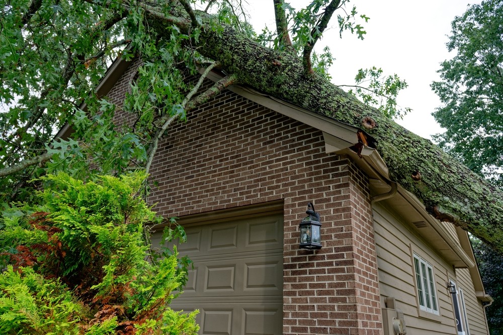 Keep Your Home Safe With Emergency Roofing Services In Nashville